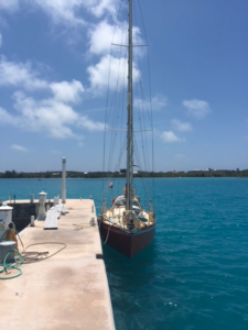 Puffin at dock in Bermuda