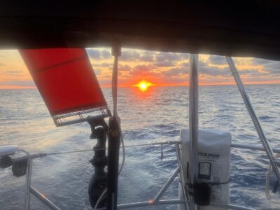 Surprise at Sea Surprise at Sea